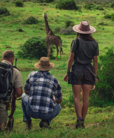Guest Experience_walking safari