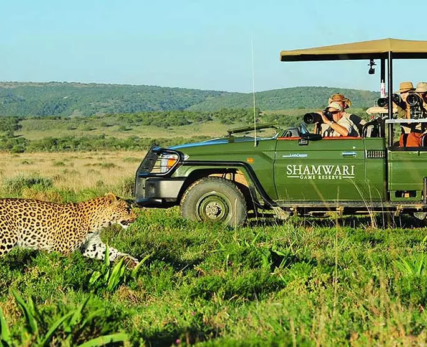 Leopard-on-safari-in-South-Africa-1