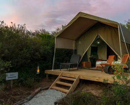 One-of-the-tents-at-Shamwari_s-Explorer-Camp