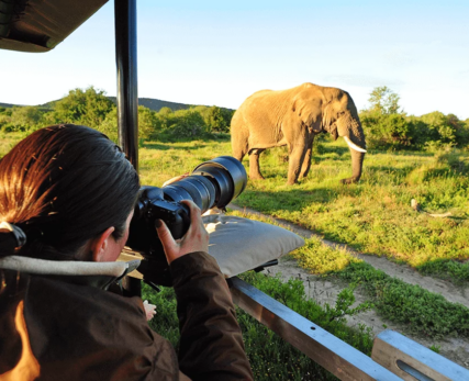 Pro-Photo-Safari-Package-Shamwari-1