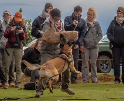 SCE - Anti Poaching demo