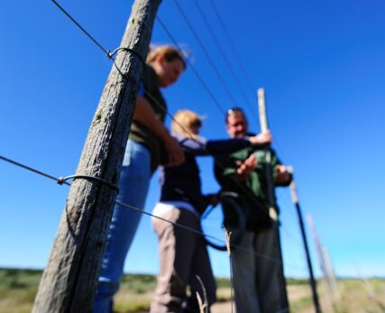 SCE - fence fixing