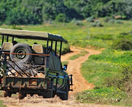 Shamwari Conservation Experience 29