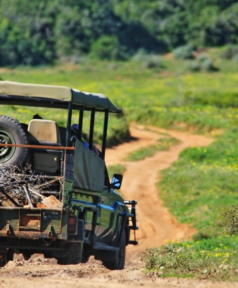 Shamwari Conservation Experience 29