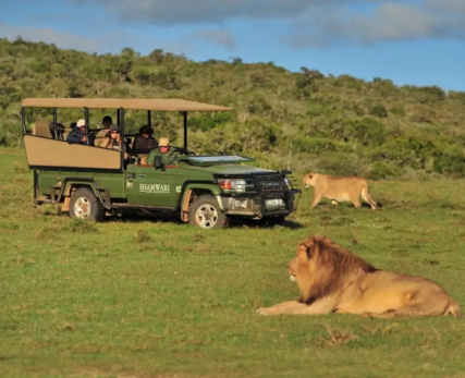 Shamwari-Game-Reserve-Wins-Two-Tusker-Awards-2016-1024x681
