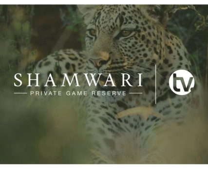 Shamwari-TV