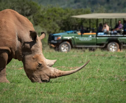View-of-solitary-rhino-in-the-bush-with-people-in-the-background.