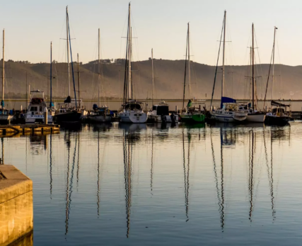 View-of-yachts-parked-at-a-port-in-Knysna