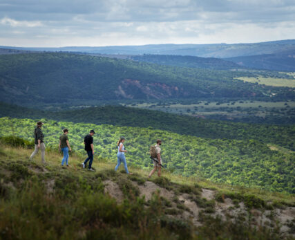 Walking safari with view of reserve