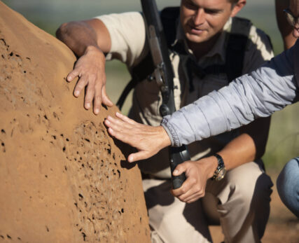 Walking + termite mound