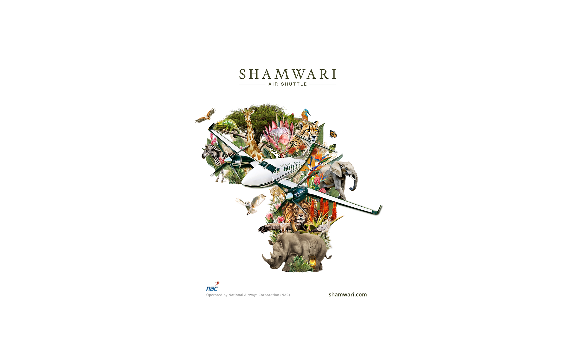 Shamwari Air Shuttle