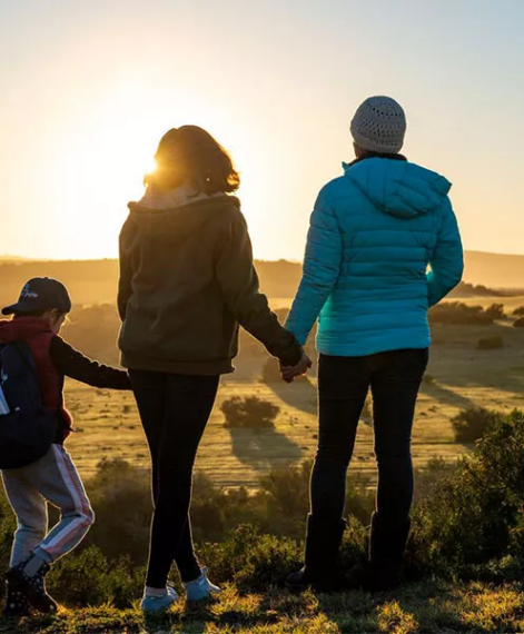 Find the perfect family friendly game lodge