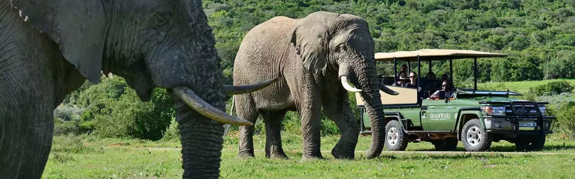 The best safari in South Africa