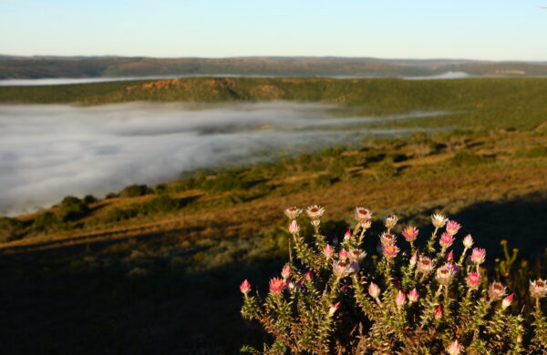 Eastern Cape